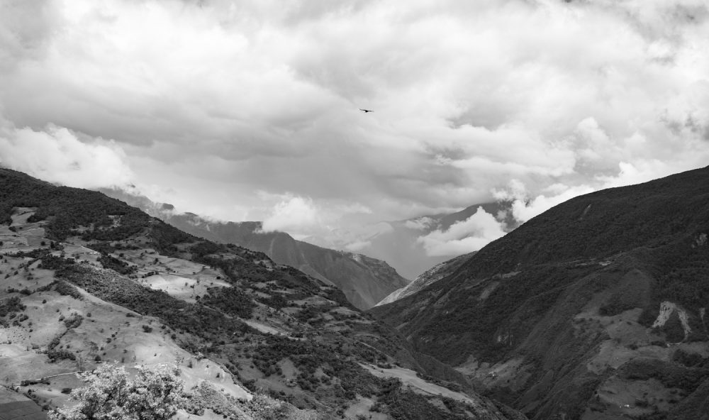 The climb was worth it just for this view