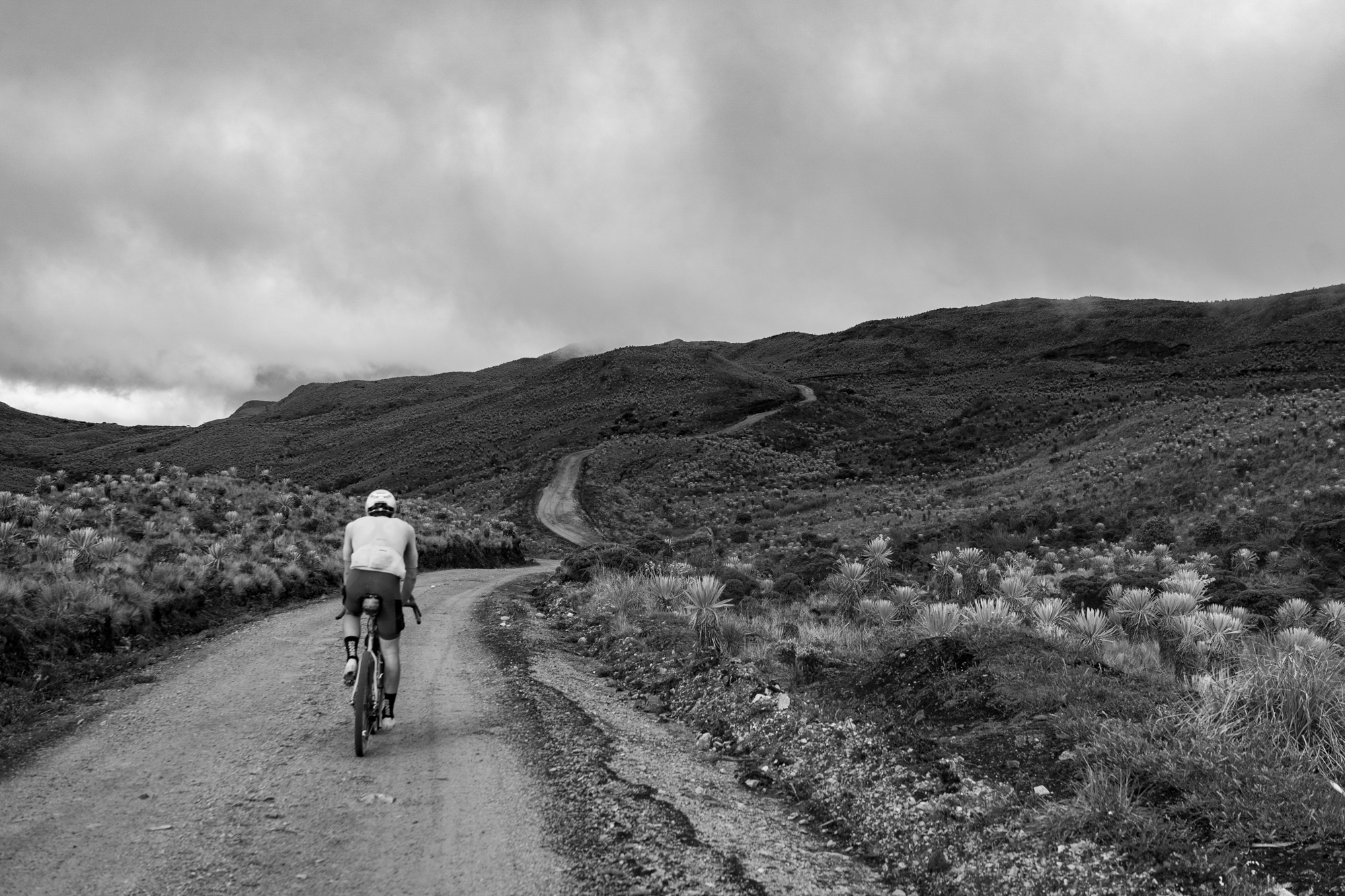 Black and white photo of male cyclist on a gravel bike in a high páramo ecosystem. There are freiljon plants all around, and a gravel road snakes off into the mountains in the far distance. The sky is moody, dark and cloudy.